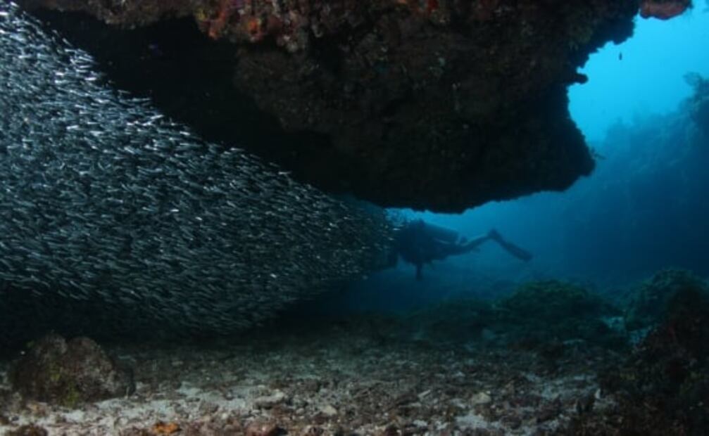 Viaje carretero por el Caribe mexicano