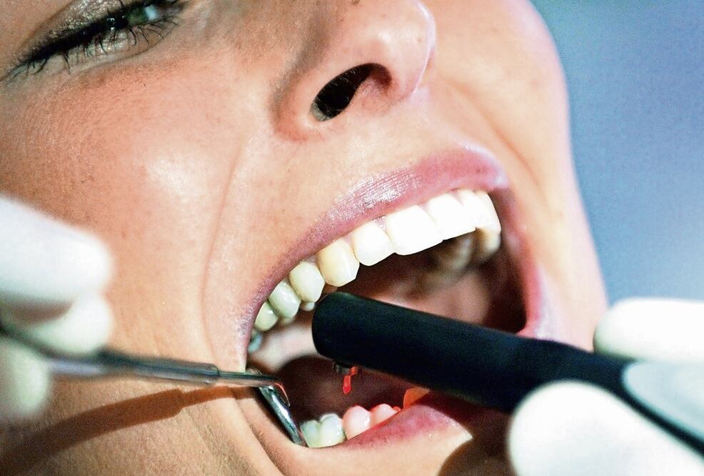 Foto: EFE / Oliver Berg, archivo 