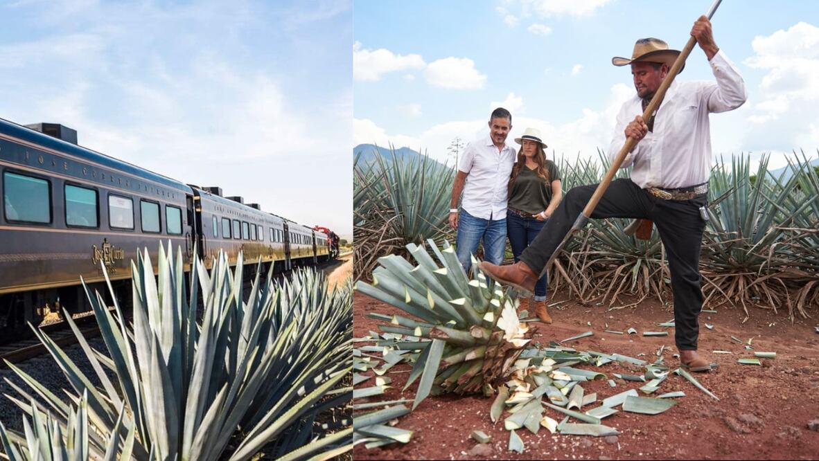 La experiencia dura un día. Es un recorrido en tren hacia Tequila, cata y comida.