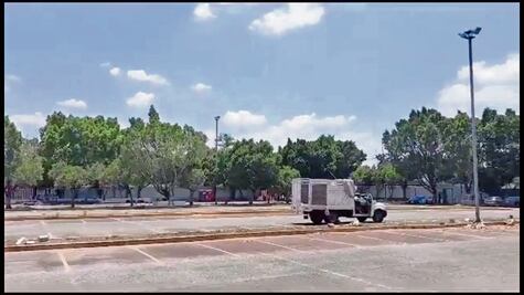 Derribo de árboles en San Lázaro costó más de 1mdp