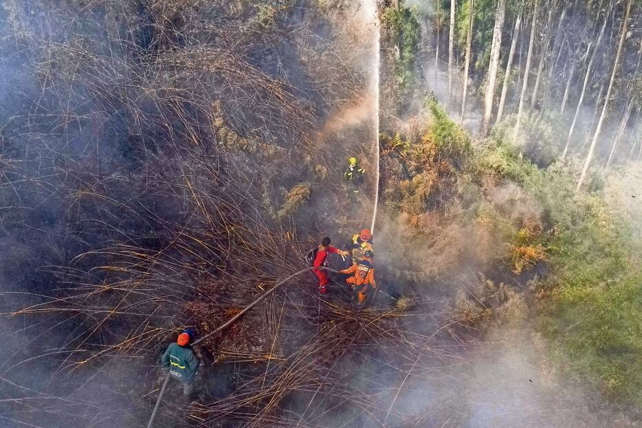 Los bomberos combaten un incendio forestal en Nemocón, Colombia. Foto: Luis Acosta | AFP