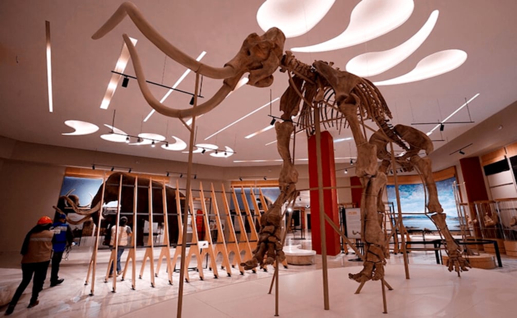 Museo Paleontológico de Santa Lucía Quinametzin. Fuente: SEDENA.