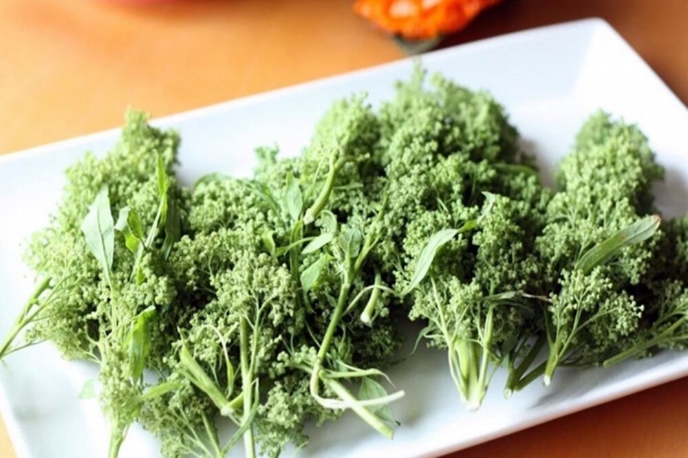 Los beneficios nutricionales del huauzontle son muy importantes debido a su alto contenido en proteínas / Foto: Servicio de Información Agroalimentaria y Pesquera