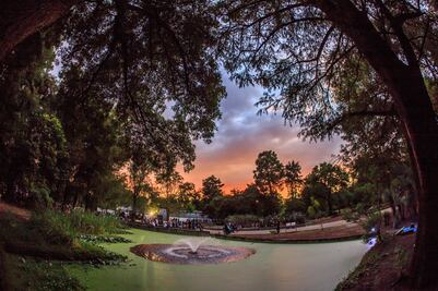 Recorrido de terror en el "bosque negro" de Chapultepec