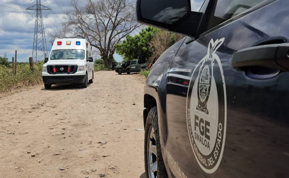 Hallan cuerpos de cuatro personas en Sinaloa (10/08/2025). Foto: Cortesía