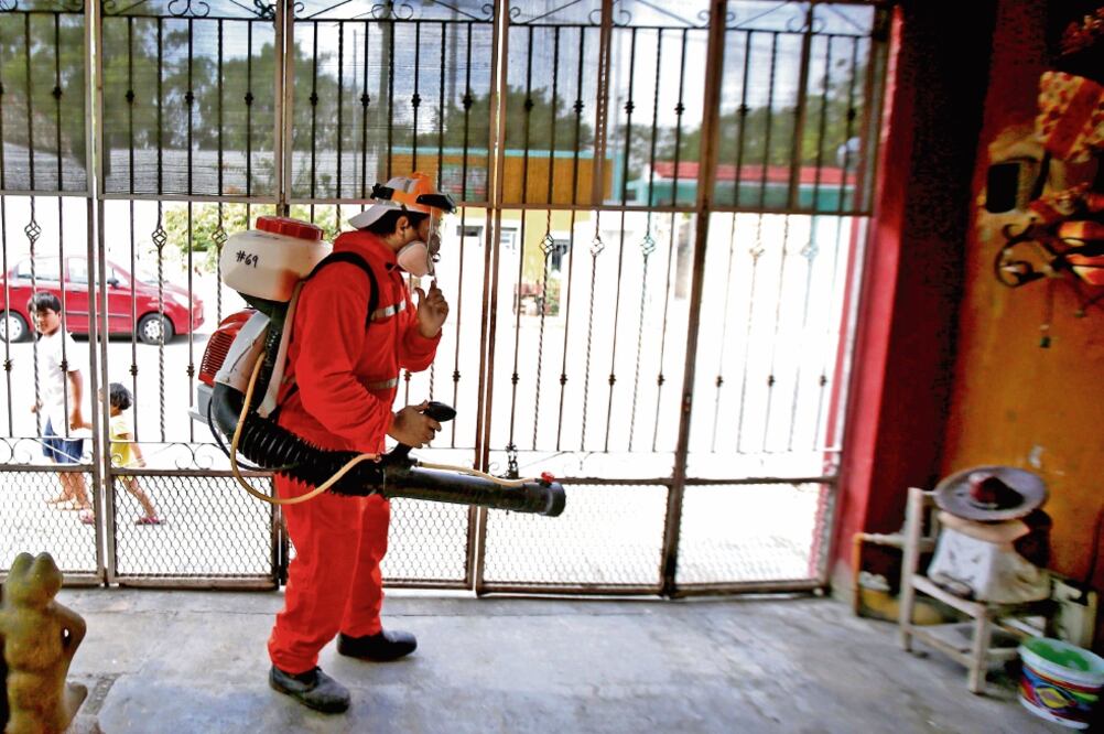 Un contingente de brigadistas recorrerá la ciudad de Mérida con el fin de detectar y eliminar potenciales criaderos del mosquito transmisor de enfermedades (HUGO BORGES. NOTIMEX)