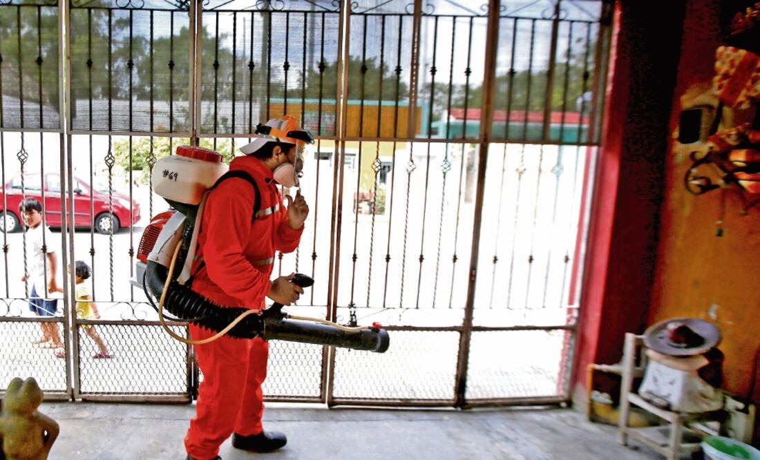Un contingente de brigadistas recorrerá la ciudad de Mérida con el fin de detectar y eliminar potenciales criaderos del mosquito transmisor de enfermedades (HUGO BORGES. NOTIMEX)