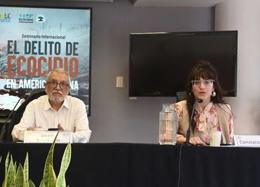 Ecocidio en América Latina; UNAM pide reconocerlo como crimen internacional