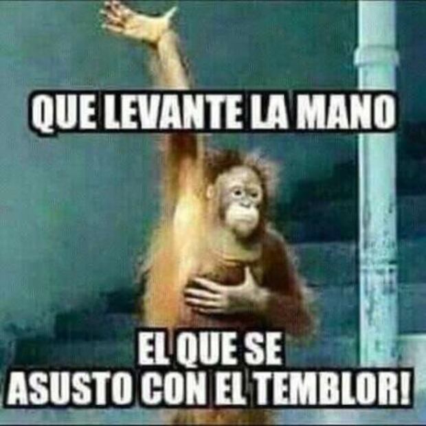 Sismo de 5.2 desata ola de memes en redes sociales