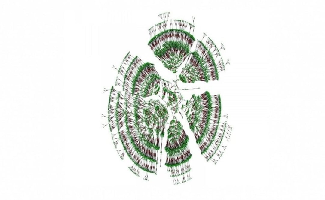 De millones de perfiles de genealogía interconectados 'online'. (FOTO: Columbia University)