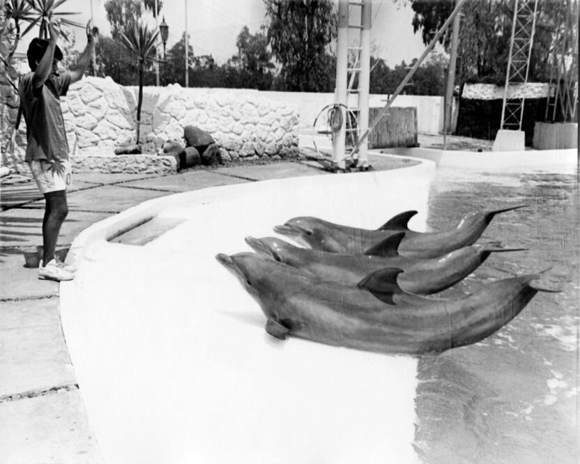 De parque infantil a bosque embrujado