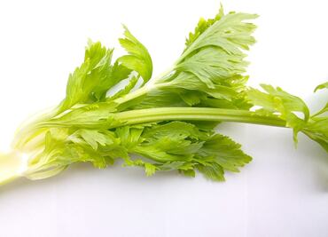 ¿Cómo comer apio para bajar de peso?