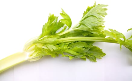 ¿Cómo comer apio para bajar de peso? 