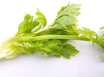 ¿Cómo comer apio para bajar de peso?