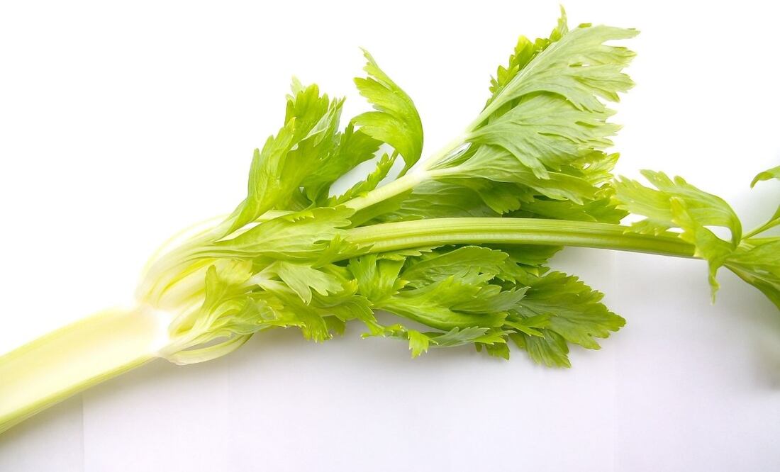 Incorpora el apio a tu dieta como botana, en ensaladas, sopas y licuados. Imagen: Pixabay