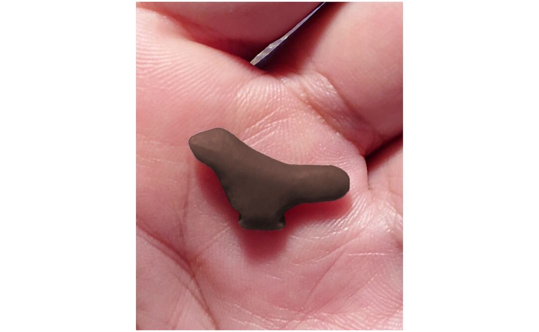 Foto: AFP PHOTO / CNRS / University of Bergen / Dr. Francesco D'Errico / L.Doyon