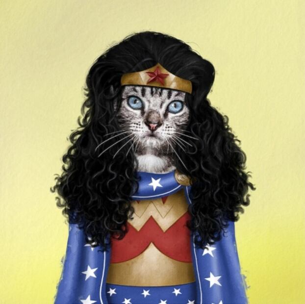 Disfrazan a mascotas de personajes de la cultura pop y se vuelve viral