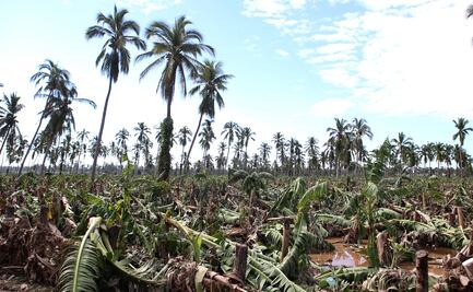 Banco de Desarrollo de América del Norte alista foro ambiental tras cancelarlo por Covid