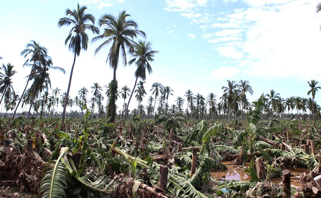Foto: Archivo / EL UNIVERSAL