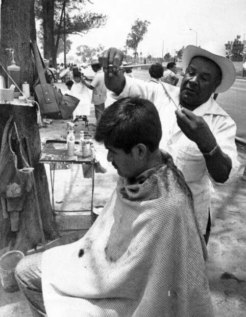 Los peluqueros “de paisaje” de avenida Zaragoza 