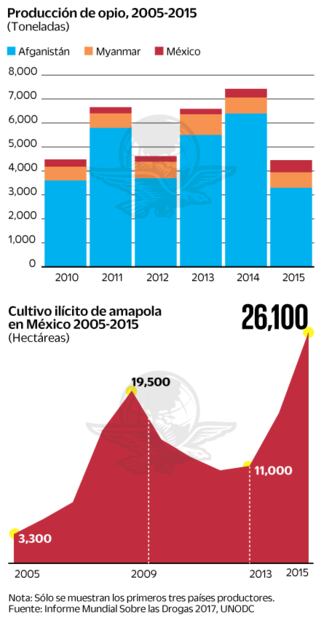 México, tercer productor mundial de amapola
