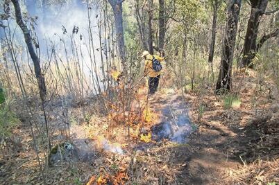 Listo, programa contra incendios forestales