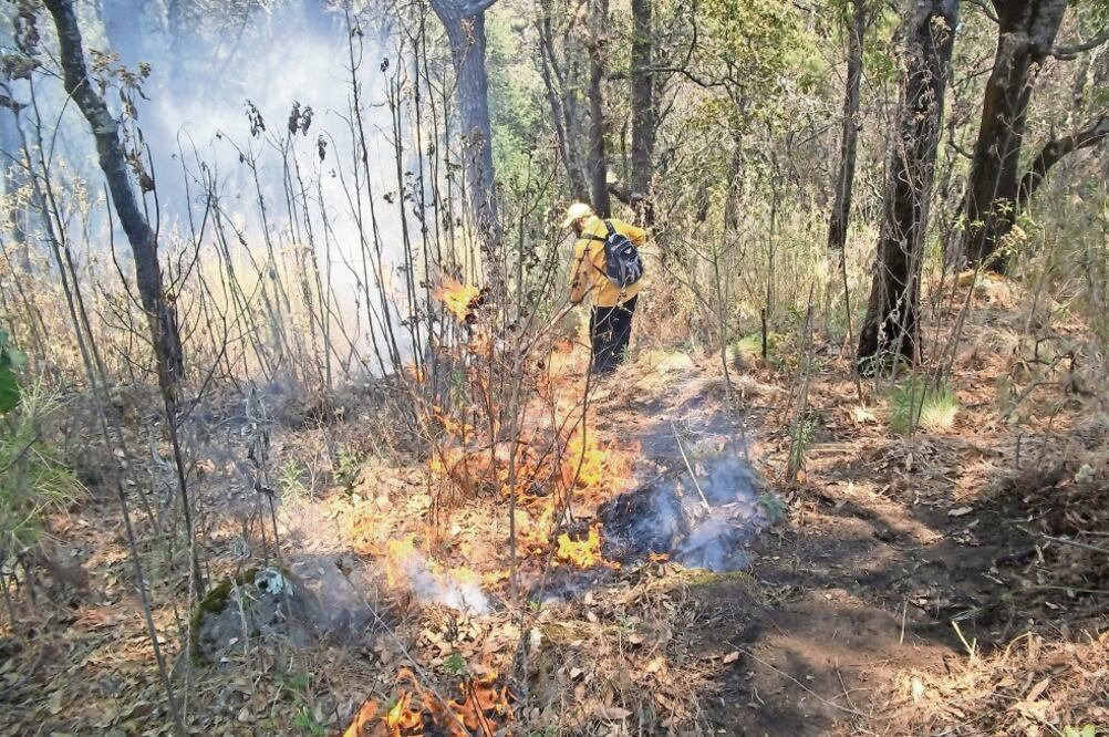 Detalle. El plan contempla la activación de mil 181 brigadistas, 14 torres de detección, mil 131 recorridos terrestres (LUIS FIERRO. EL UNIVERSAL)