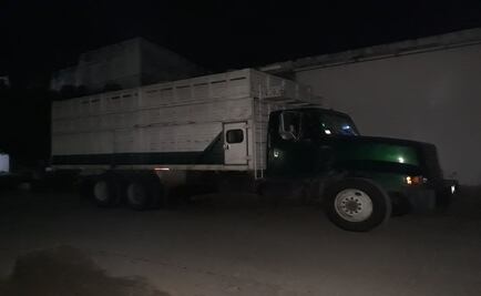 Hallan marihuana en camión sobre carretera a Tonalá