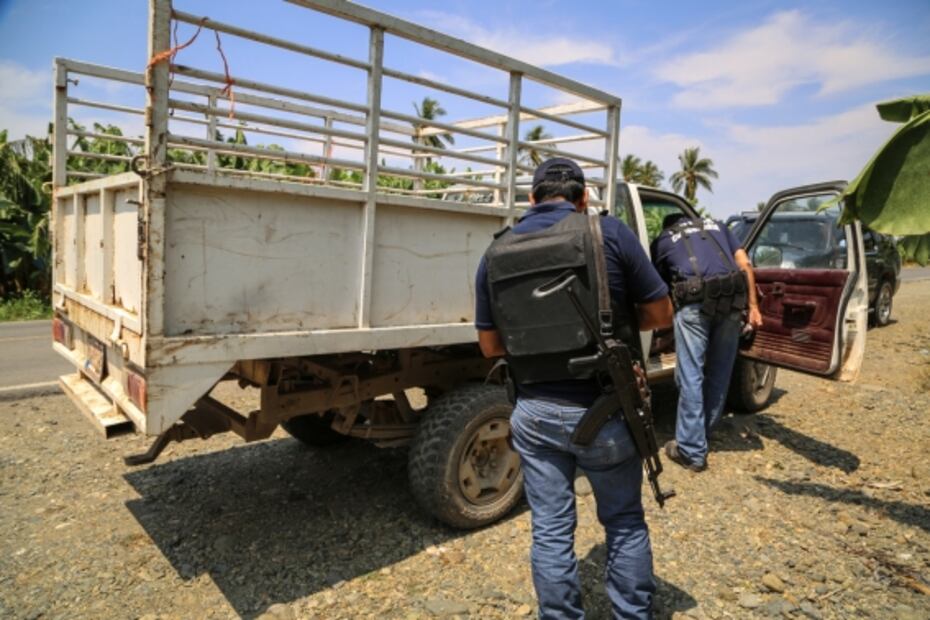 Michoacán, una comunidad en armas para plantar plátanos