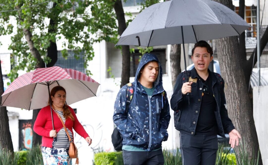 Fotografía: Archivo/ EL UNIVERSAL