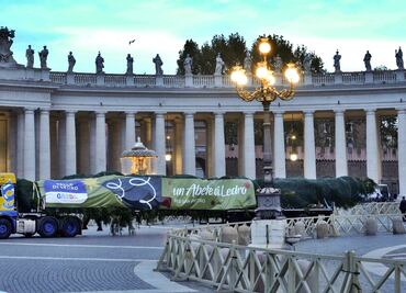 FOTOS: Así es el árbol de Navidad del Vaticano que su tala ha generado gran polémica