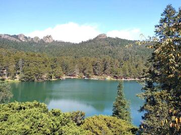 El Cedral, un parque natural con cabañas y actividades en Hidalgo 
