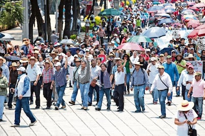 CNTE no volverá a aulas, dice; espera que se reanude diálogo