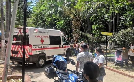 Reportan 3 lesionados en descarrilamiento de trenecito en zoológico de Yucatán