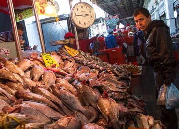 Garantizan abasto de pescados y mariscos en cuaresma