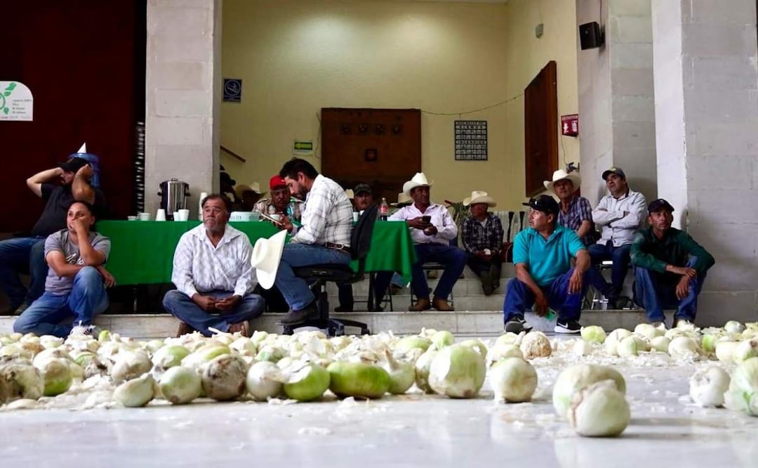 Agricultores de Zacatecas en su visita al Congreso local arrojaron costales de cebollas (20/05/2025). Foto: Diana Valdez / EL UNIVERSAL