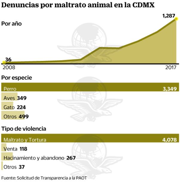 Perros y gatos, los más maltratados en CDMX