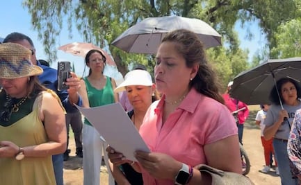 Vecinos de Pachuca rechazan tala de árboles para construir vialidad; daría acceso a nuevo edificio de gobierno