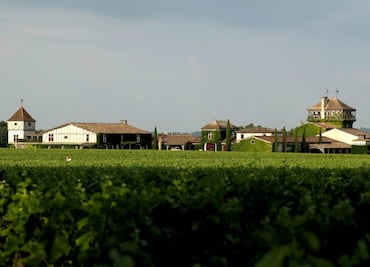 Un hotel rodeado de famosos viñedos