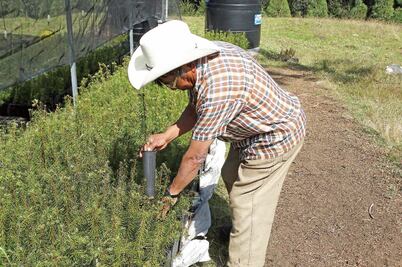 Siembran felicidad para los mexicanos