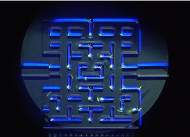 Pac-Man ayuda a comprender el comportamiento microcelular