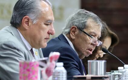 Muñoz Ledo dice que también votaron un tigre y un manatí en San Lázaro