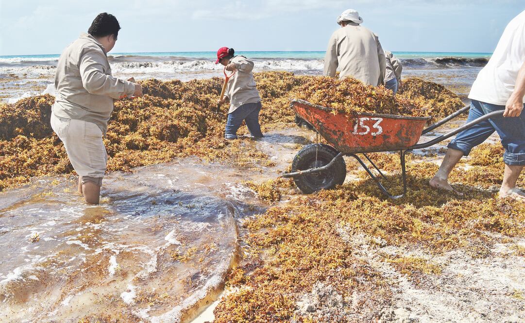 Foto: archivo CUARTOSCURO