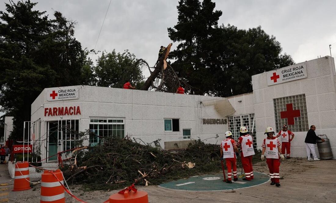 Personal de Protección Civil y del Heroico Cuerpo de Bomberos procedió a segmentar con motosierras el tronco del árbol para retirarlo. Foto: Jorge Alvarado / EL UNIVERSAL