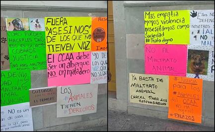 Protestan por matanza de perros a palazos en centro de control animal en Silao, Guanajuato