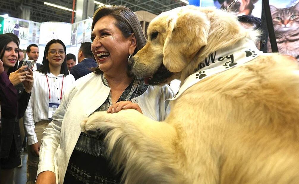 Foto: Berenice Fregoso / EL UNIVERSAL