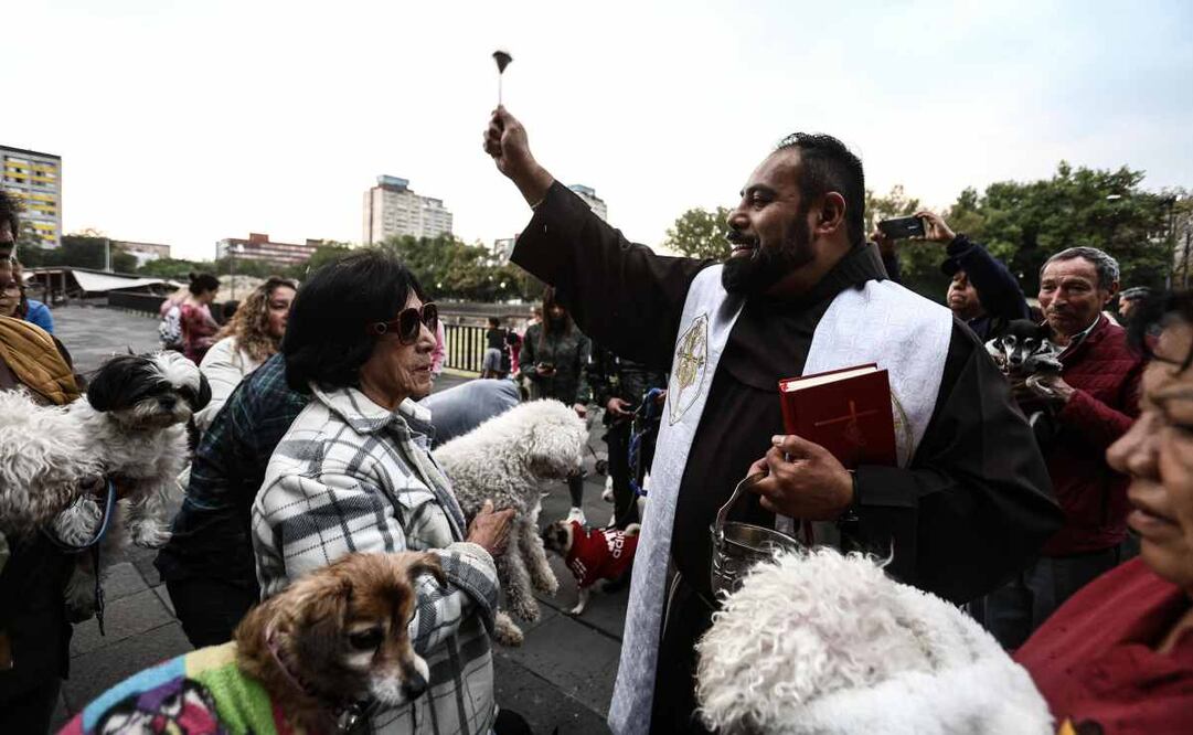 Bendición de animales por el día de San Antonio Abad en la parroquia de Santiago Apóstol en la plaza de las 3 culturas. Foto: Gabriel Pano/EL UNIVERSAL