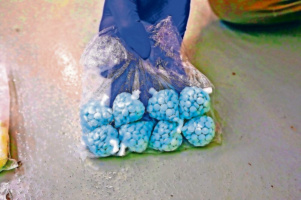 Las actividades del crimen organizado como venta de drogas o lavado de dinero generan grandes ganancias. Archivo El Universal