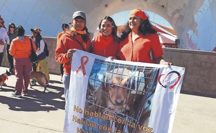 Juarenses buscan concientizar sobre el maltrato animal