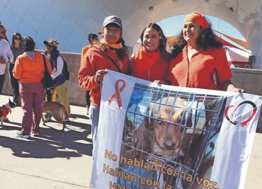 Juarenses buscan concientizar sobre el maltrato animal